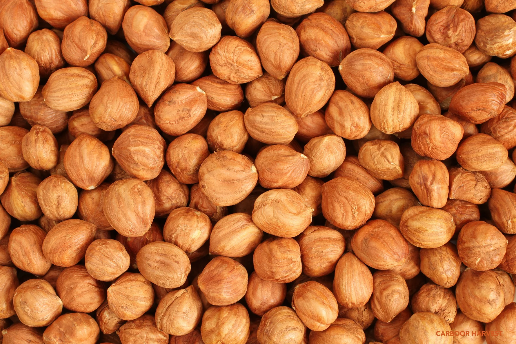 Hazelnut Kernels
